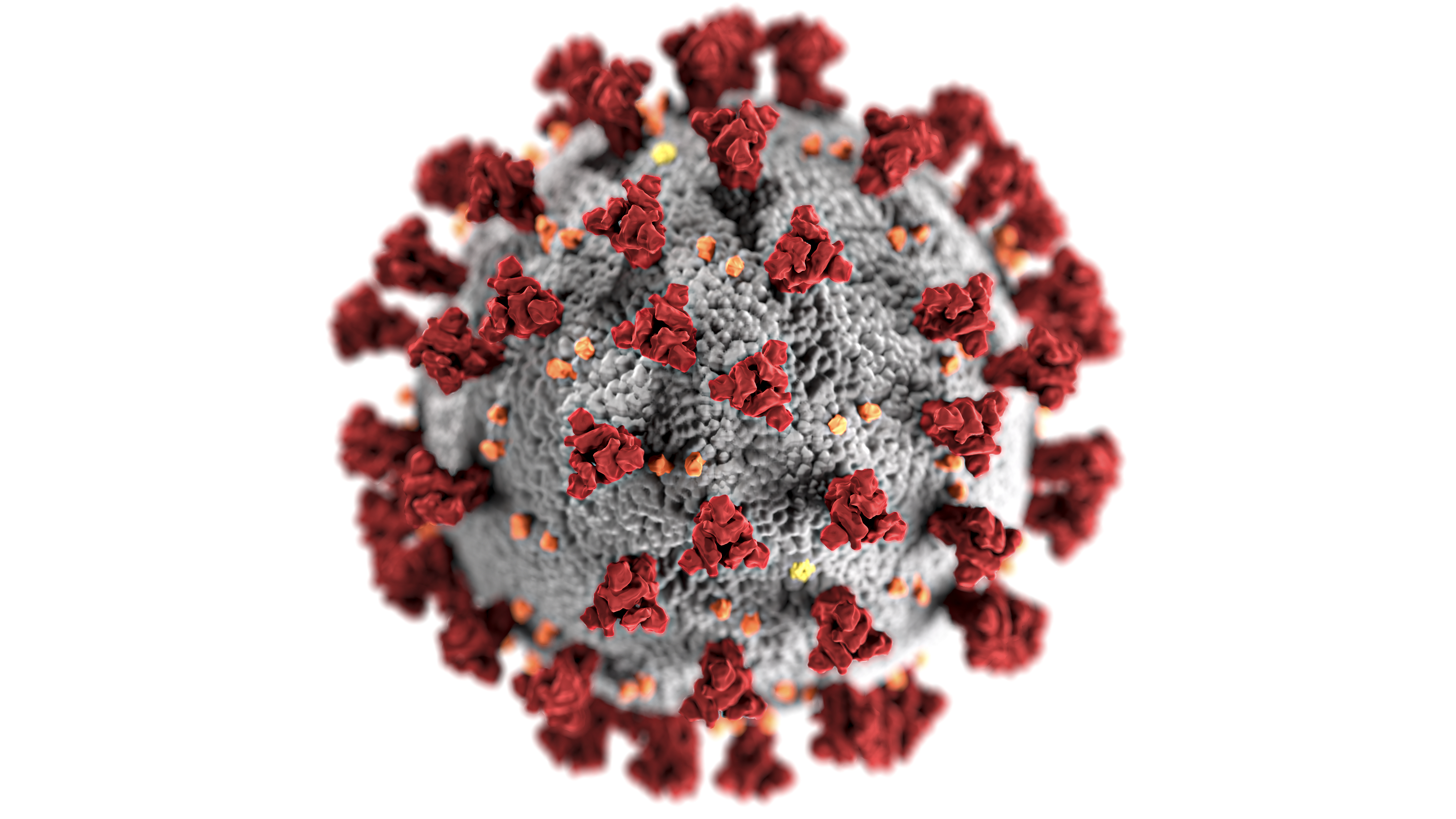 Covid 19 Coronavirus Covid Cell Pandemic Corona Virus Red Organism Plant Fractal Art Pollen Textile Flower Symmetry Art 1608792