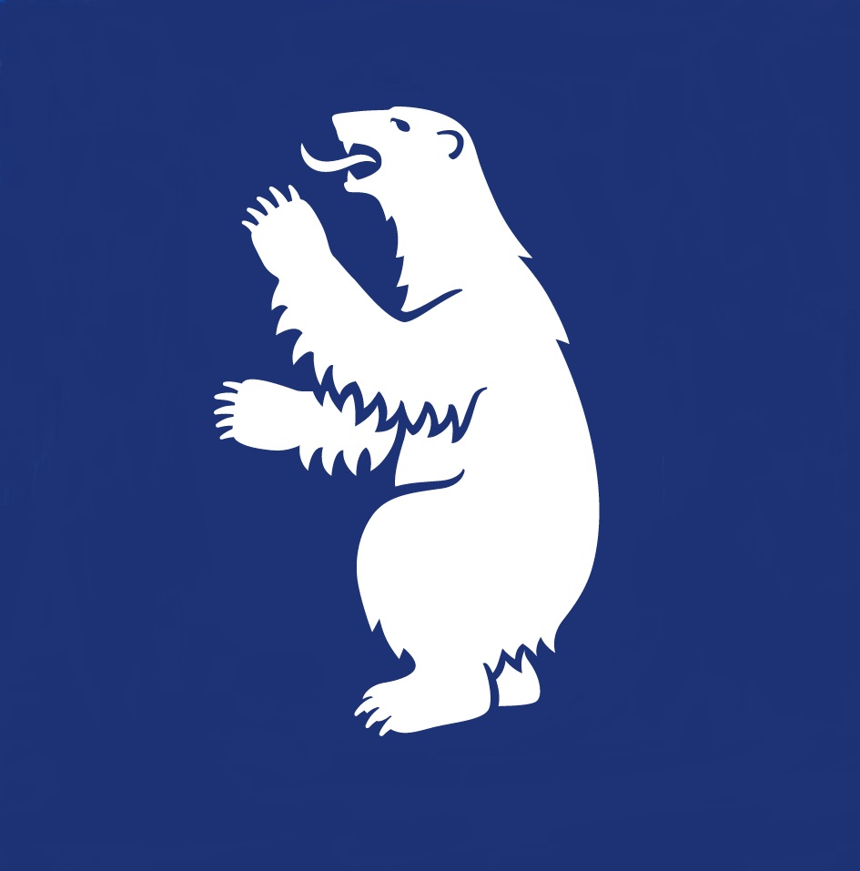 Nanoq Logo Fb T